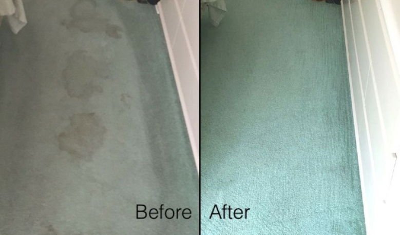 before-after-carpet-cleaning